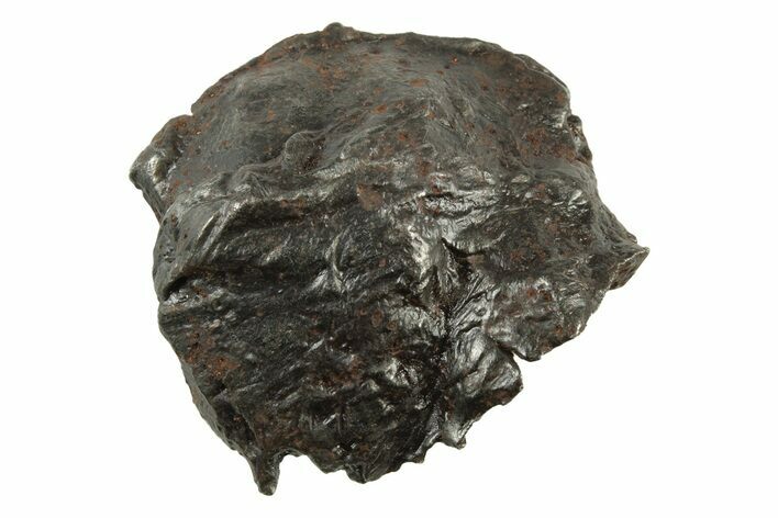 Sikhote-Alin Iron Meteorite Shrapnel ( g) - Russia #243169